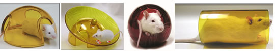Animec Enrichment Devices