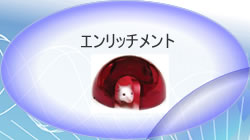 エンリッチメントとは